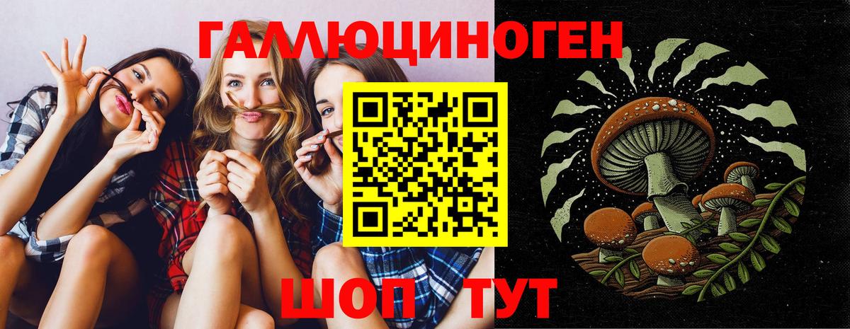 Галлюциногенные грибы прущие грибы  Вход с VPN  Малгобек 