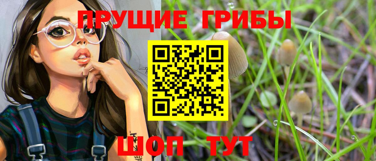 Галлюциногенные грибы Cubensis Малгобек